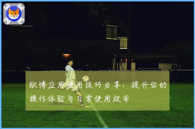 欧博应用使用技巧分享，提升你的操作体验与日常使用效率