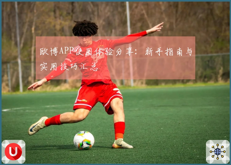 欧博APP使用体验分享：新手指南与实用技巧汇总