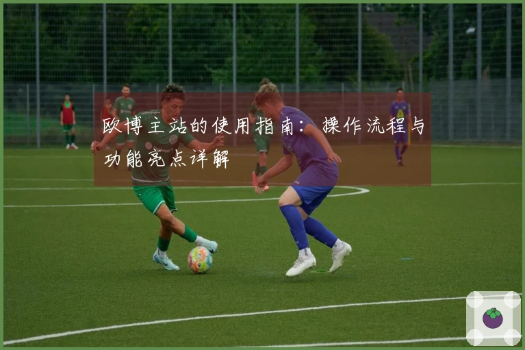 欧博主站的使用指南：操作流程与功能亮点详解