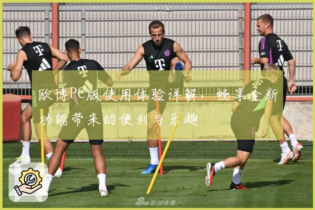 欧博PC版使用体验详解，畅享全新功能带来的便利与乐趣