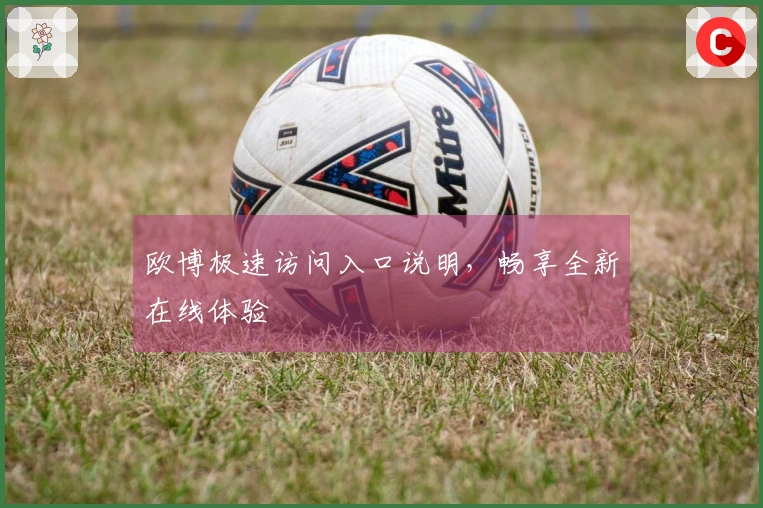 欧博极速访问入口说明,畅享全新在线体验