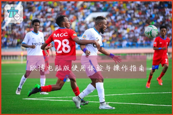欧博电脑版使用体验与操作指南