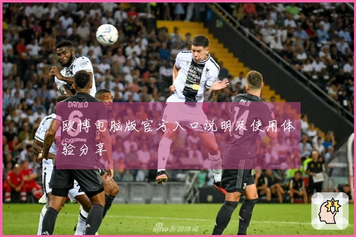 欧博电脑版官方入口说明及使用体验分享